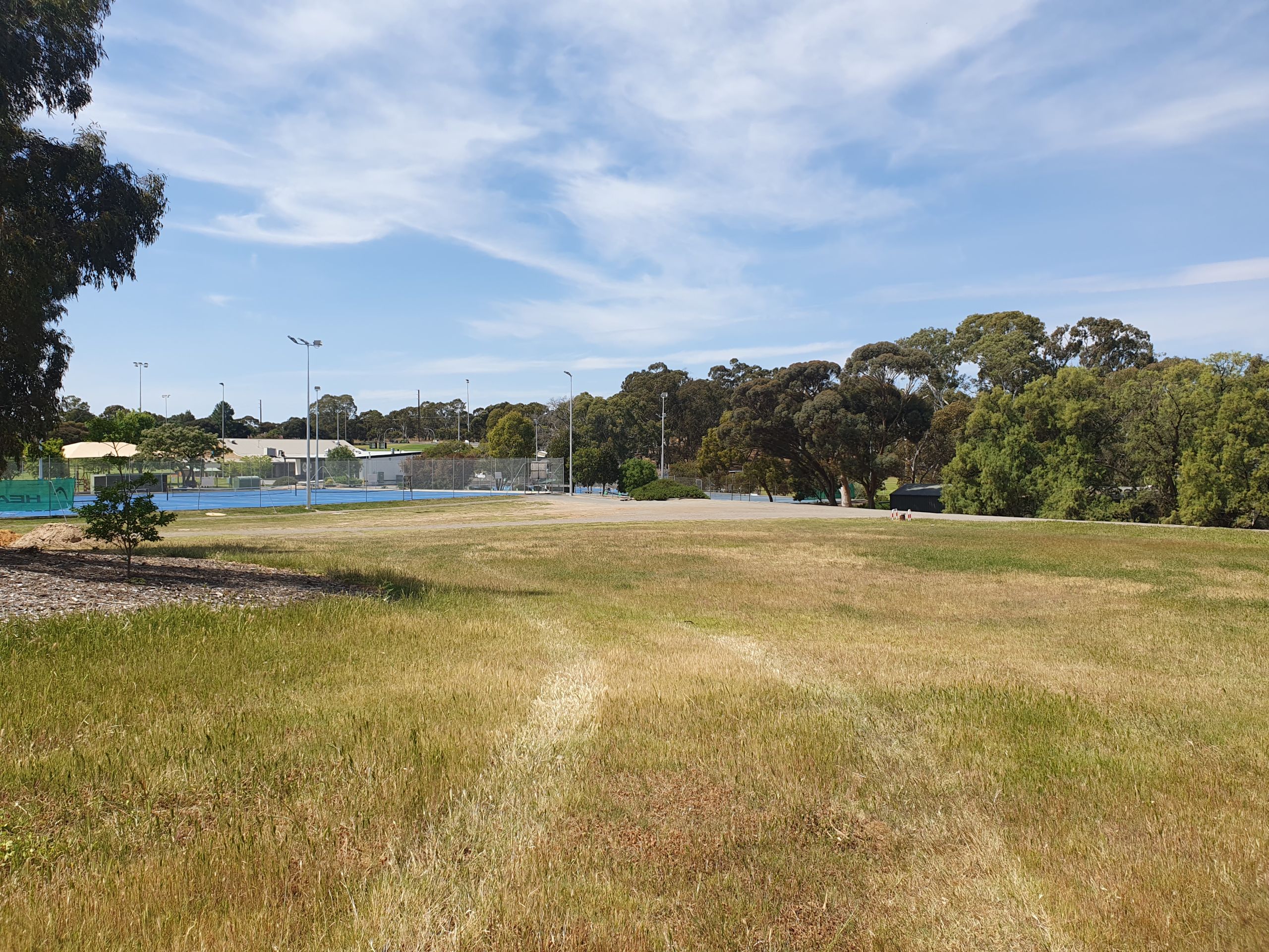 Tilley Recreation Park draft master plan and proposed new dog park ...