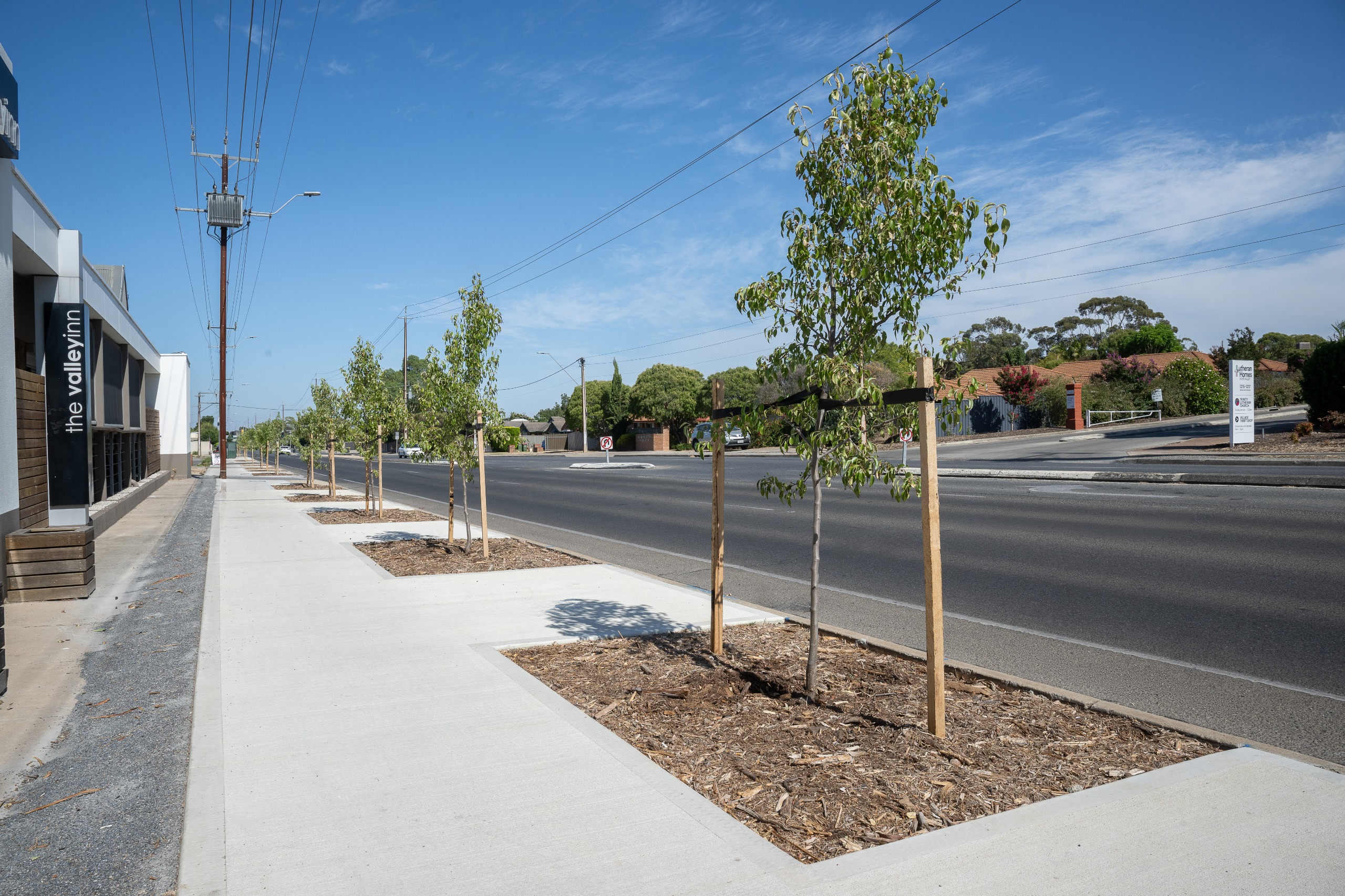 Road showing new trees plantings and upgraded concrete footpaths